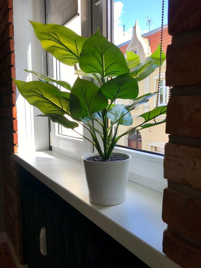 Apartament Odrzanka Gryfino Exteriör bild